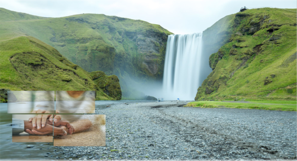 Coverbild SFCR Study