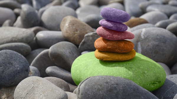 Coverpic Spotlight Rückvers 2024