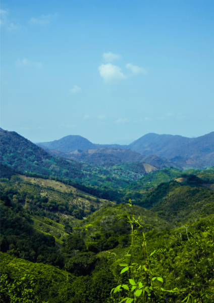 Spotlight Design Banken 2024